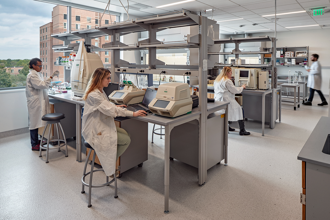 students working in laboratory at Richard Weeks Hall of Engineering